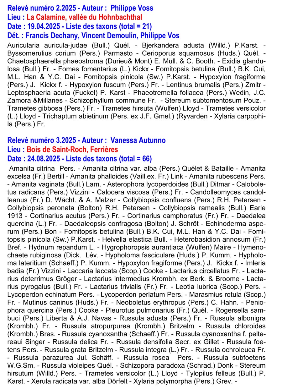 Groupe d’Inventaire des champignons de Wallonie